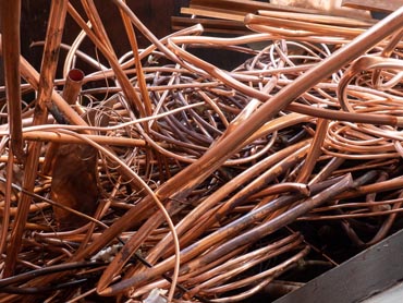 baker spada med najbolj iskane barvnek ovine